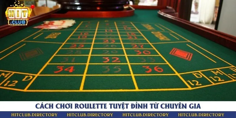 Chiến thuật đặt cược dễ trúng cho tân binh