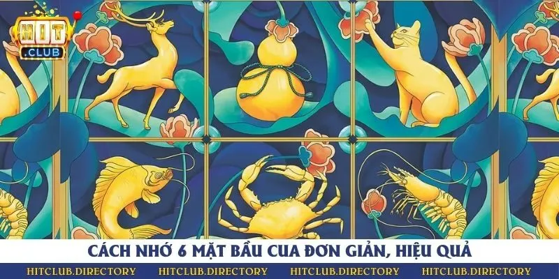 4 cách nhớ 6 mặt chỉ trong một nốt nhạc