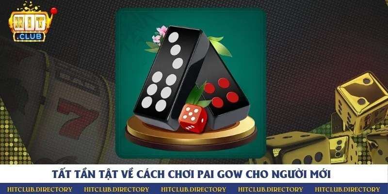 Tất tần tật về cách chơi pai gow cho người mới