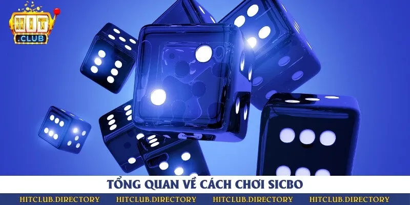 Kết quả chơi sicbo dựa vào 3 viên xúc xắc 